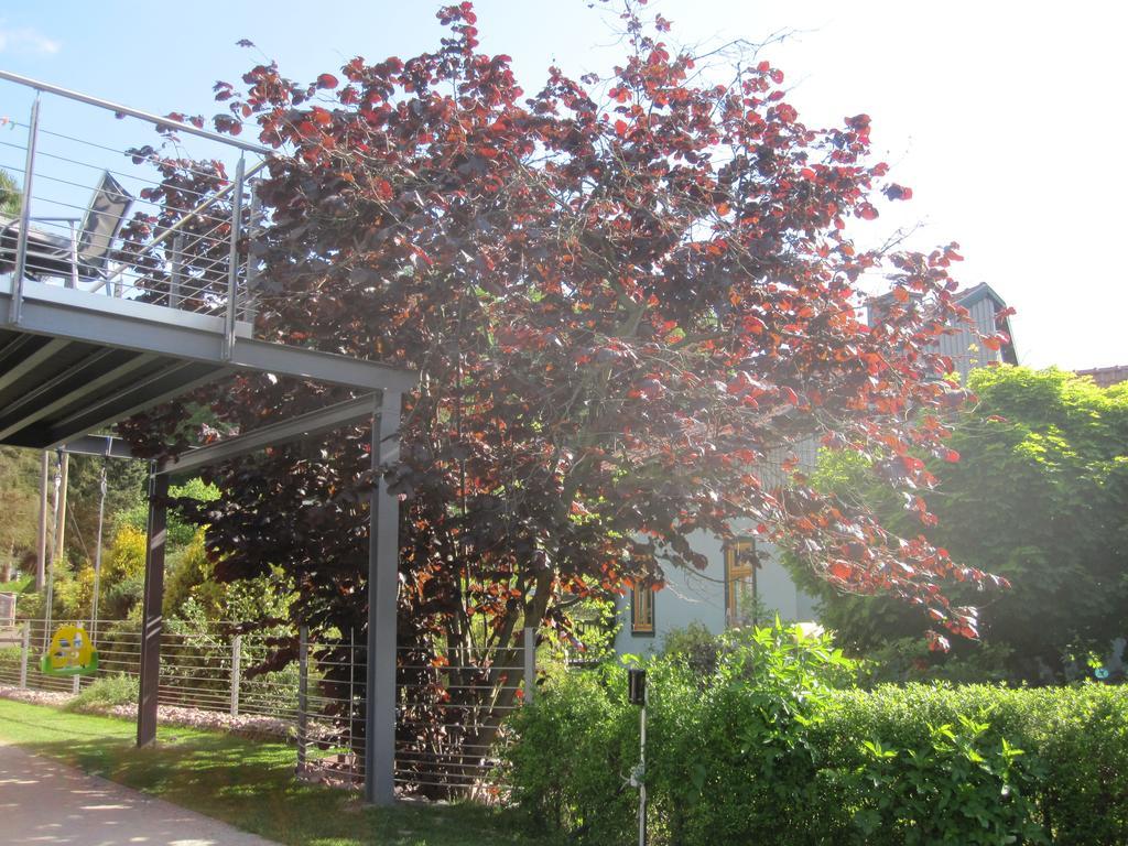 Apartment Haus Sembachtal Winterstein Esterno foto